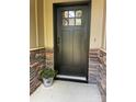 Front door with a black finish, glass window panes, and accented by stone and a purple plant at 6519 Pargo Rd, Charlotte, NC 28216