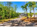 Scenic view of home from a long driveway surrounded by lush trees and greenery offering privacy at 385 Squirrel Ln, Clover, SC 29710