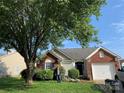 Lovely single-story brick home featuring an attached garage, manicured lawn, and established landscaping at 12031 Brownestone View Dr, Charlotte, NC 28269