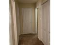 Hallway view of a home featuring neutral walls, carpet floors, and white doors at 12031 Brownestone View Dr, Charlotte, NC 28269