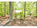 Secluded yellow home nestled in a tranquil wooded setting surrounded by mature trees and natural foliage at 2929 Matoka Trl, Matthews, NC 28104