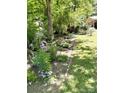 A beautifully landscaped yard showcases a variety of lush plants and vibrant greenery at 6212 Sunset Cir, Charlotte, NC 28216