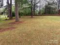 Lush backyard with mature trees and natural foliage at 1012 Hawkinstown Rd, Salisbury, NC 28144