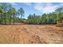 Large lot with a tree line is ready for your imagination and future outdoor oasis at 1119 Stanback Rd, Chester, SC 29730
