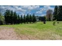 Expansive green backyard with mature trees, creating a peaceful outdoor space at 2003 Cape Hickory Cutoff Rd, Hickory, NC 28601