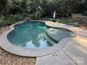 In-ground kidney-shaped pool with stone coping, surrounded by concrete decking at 729 Lochaven Rd, Waxhaw, NC 28173