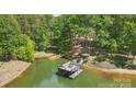 Lakeside dock, perfect for relaxing and enjoying water activities, surrounded by lush greenery at 2501 Mt Isle Harbor Dr, Charlotte, NC 28214