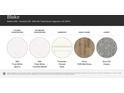 Selections include MSI Frost White Quartz countertops, Timberlake Painted Slate Cabinetry, Shaw 7089 Wild Dunes hard floors, and Shaw 521 Dolphin carpet at 1094 Old Trade St, Edgemoor, SC 29712