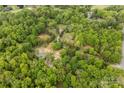 Overhead view of an expansive wooded lot, dotted with charming buildings amidst lush greenery at 124 Neumann Run, Belmont, NC 28012