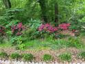 Lush landscaping with vibrant pink flowers and neatly arranged greenery along a stone-edged garden bed at 33611 Mann Rd, Albemarle, NC 28001