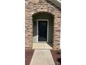 Close up of the front door with stone archway, a black door with glass panes, and a stylish exterior light at 3030 Collin House Dr, Fort Mill, SC 29715