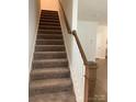 Carpeted staircase with white risers and a stained wood handrail at 3019 Glenn Hope Way, Matthews, NC 28104