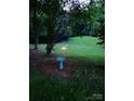 Serene backyard featuring a fire pit and a bird bath surrounded by lush greenery, creating a peaceful oasis at 1165 Old Salisbury Concord Rd, Concord, NC 28025