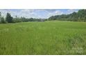 Expansive green lot, providing ample outdoor space and a tranquil setting for this beautiful home at 485 Hilltop Rd, Oakboro, NC 28129
