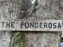 Rustic wooden sign reading 'THE PONDEROSA' attached to a mature tree, providing a natural and inviting feel at 14131 Lucia Riverbend Hwy, Mount Holly, NC 28120