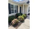 Close-up of a well-maintained entrance with beautiful flowering bushes, offering great curb appeal at 5012 Wheat Sw Dr, Concord, NC 28027