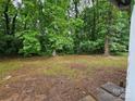 Lush green trees surround the expansive backyard at 4406 Valeview Ln, Charlotte, NC 28269