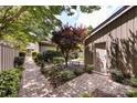 Charming backyard with a brick-paved pathway leading to the private side entrance, surrounded by lush plantings at 5128 Dunes Ct, Charlotte, NC 28226