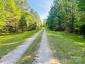 Long gravel driveway leading to property through lush, mature trees in a picturesque, private setting at 611 Stowe Rd, Clover, SC 29710