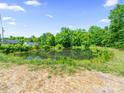 Picturesque backyard with pond surrounded by lush greenery, offering a serene outdoor space at 503 Eddleman Rd, Kannapolis, NC 28083
