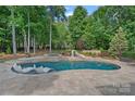 Beautiful in-ground pool surrounded by lush landscaping, featuring a slide and spa at 1102 Anniston Pl, Wesley Chapel, NC 28079