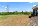 Expansive backyard featuring a large grassy area with a young tree, offering privacy and outdoor space at 471 Lucky Nw Dr, Concord, NC 28027
