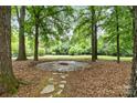 Stone fire pit area surrounded by mature trees, perfect for outdoor entertaining at 1200 Churchill Downs Dr, Waxhaw, NC 28173