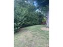 Lush side yard featuring tall, mature evergreen trees and a fenced area at 734 Harris Nw St, Concord, NC 28025