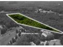 An aerial view of approximate lot lines surrounded by a peaceful wooded setting at 5376 Walter Estate Ln, Iron Station, NC 28080