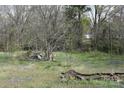 Unkempt backyard with natural landscaping, mature trees and debris at 120 Mccleave Rd, China Grove, NC 28023
