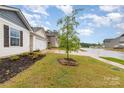 Well-maintained lawn with newly planted tree, complimented by a sidewalk and view of the street at 3138 Maple Ridge Dr, Gaston, NC 28052