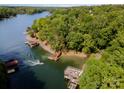 Aerial view of the lake with docks, boats, jet ski, kayaks, and lush trees from a bird's eye perspective at 9066 Tulagi Ct, Tega Cay, SC 29708