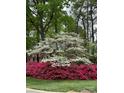 Lush front yard featuring a mature dogwood tree and vibrant azaleas at 3804 Bellingham Ln, Charlotte, NC 28215