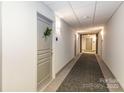 Well-lit hallway with gray doors and a carpet runner, creating an inviting and clean passage at 1320 Fillmore Ave # 112, Charlotte, NC 28203