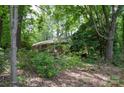 A single story brick home, partially hidden in a lush landscape of trees and foliage at 316 Anne Ave, Waxhaw, NC 28173