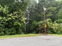 Street view of the property surrounded by lush greenery, highlighting its natural setting at 910 Mcgowan Rd, Shelby, NC 28150