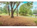 Expansive front yard with mature trees, visible from the covered porch, offering serene views at 1521 19Th Sw St, Hickory, NC 28602