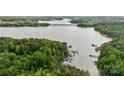 Picturesque aerial view of a lake with docks and boats, surrounded by lush green trees and a clear blue sky at 109 Braxton Gate Ct, Mount Holly, NC 28120