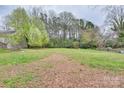 Expansive backyard with lush greenery and mature trees, offering a serene outdoor space at 6323 Wilora Lake Rd, Charlotte, NC 28212
