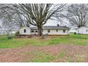 Spacious backyard with mature trees, a picnic table and plenty of natural foliage at 6323 Wilora Lake Rd, Charlotte, NC 28212
