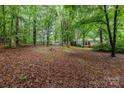 A sprawling backyard filled with mature trees providing ample shade and privacy at 6804 Lineberger Rd, Denver, NC 28037