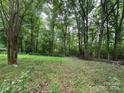 A tranquil backyard featuring a lush green yard surrounded by tall trees at 455 Running Brook Rd, Midland, NC 28107