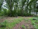 View of a lush backyard filled with trees and leaves at 455 Running Brook Rd, Midland, NC 28107