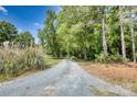 View of long gravel driveway leading through lush green trees to a serene and private property at 3116 Old Montgomery Place Rd, Monroe, NC 28112
