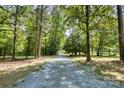 View of long gravel driveway leading through lush green trees to a serene and private property at 3116 Old Montgomery Place Rd, Monroe, NC 28112