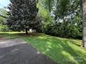Expansive backyard with lush green grass and mature trees, offering plenty of space for outdoor activities at 5938 Sharon Rd, Charlotte, NC 28210