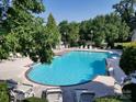 Bright blue community pool with lounge chairs and mature landscaping at 13932 Queens Harbor Rd, Charlotte, NC 28278