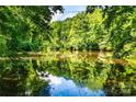 Scenic pond surrounded by lush greenery, reflecting sky and trees at 6516 Sharon Hills Rd, Charlotte, NC 28210