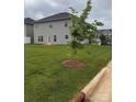 Spacious backyard with lush green grass and a newly planted tree at 704 Robert Moses Dr # 121, Gastonia, NC 28056