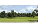 Spacious backyard with lush green grass and mature trees offer a peaceful and private setting at 31470 Royal Tern Ln, Indian Land, SC 29707